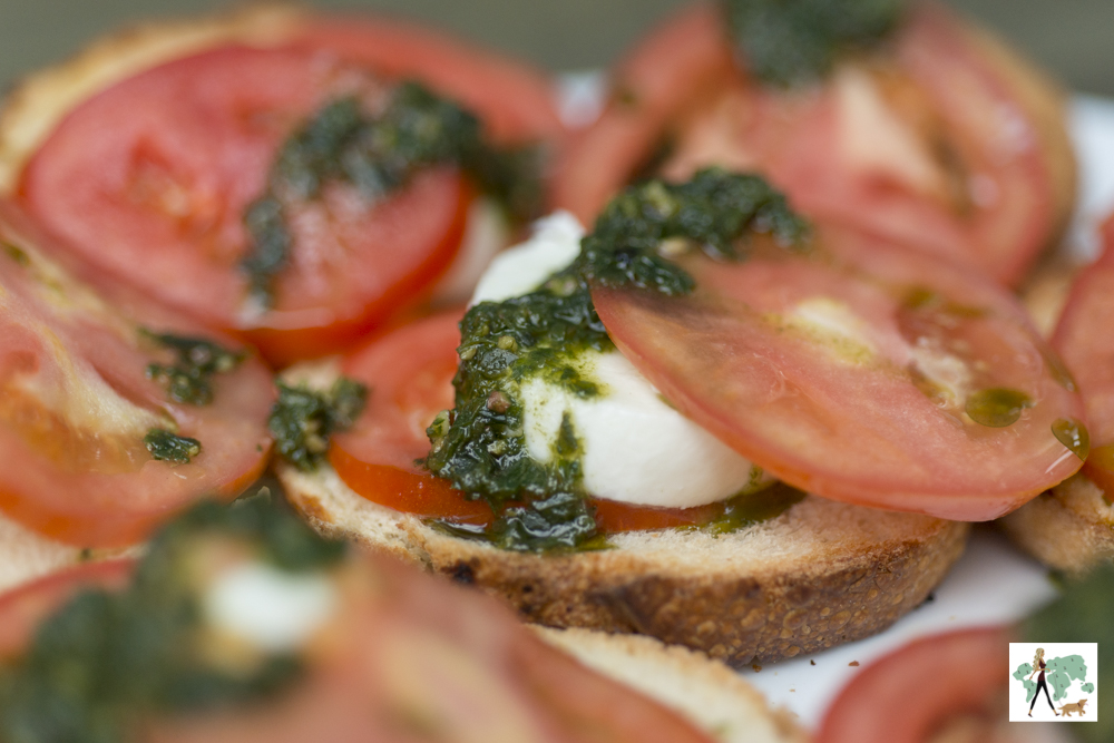 EAP é pet friendly! bruschetta de tomate e muçarela de búfala