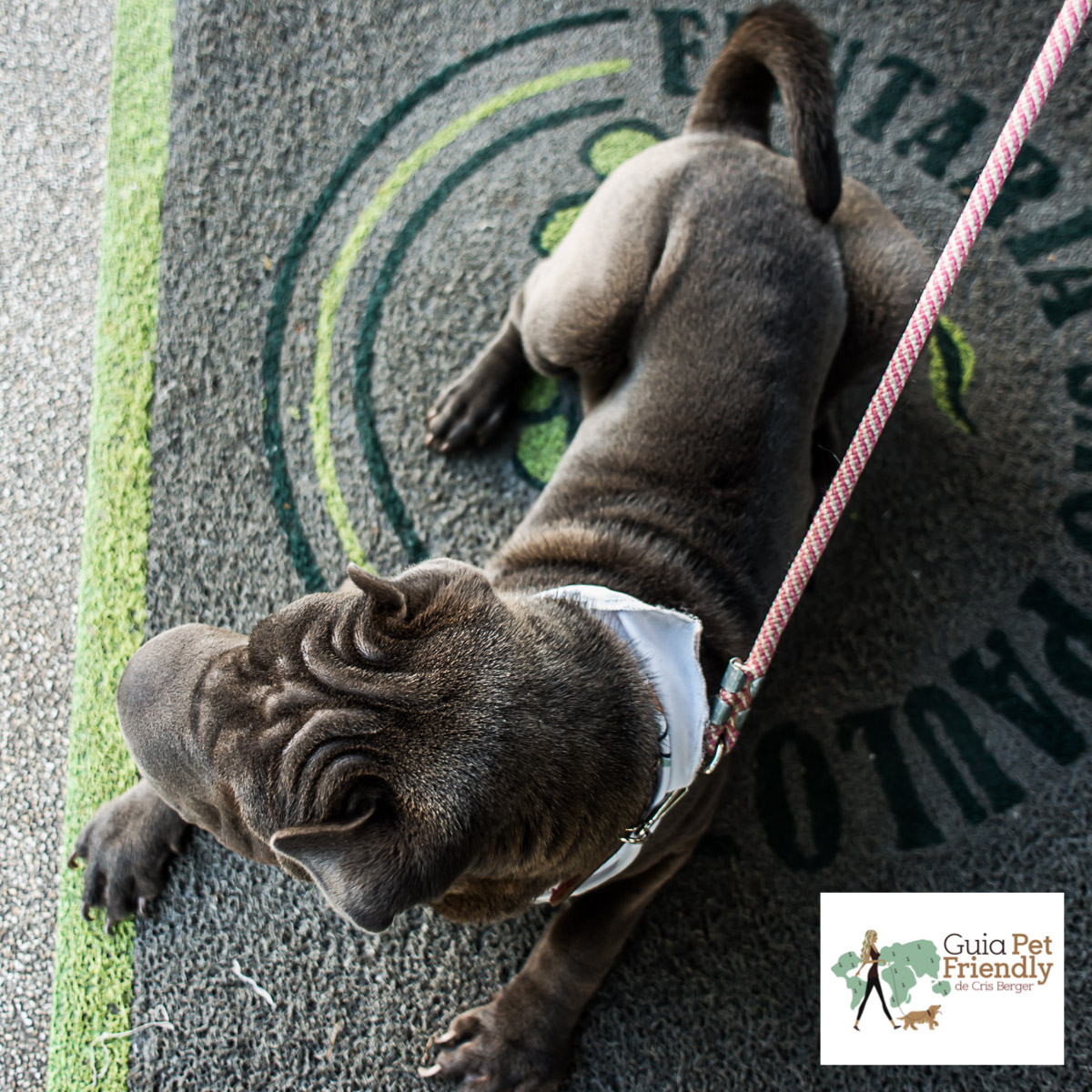 Frutaria SP é pet friendly! cachorro deitado em cima de capacho