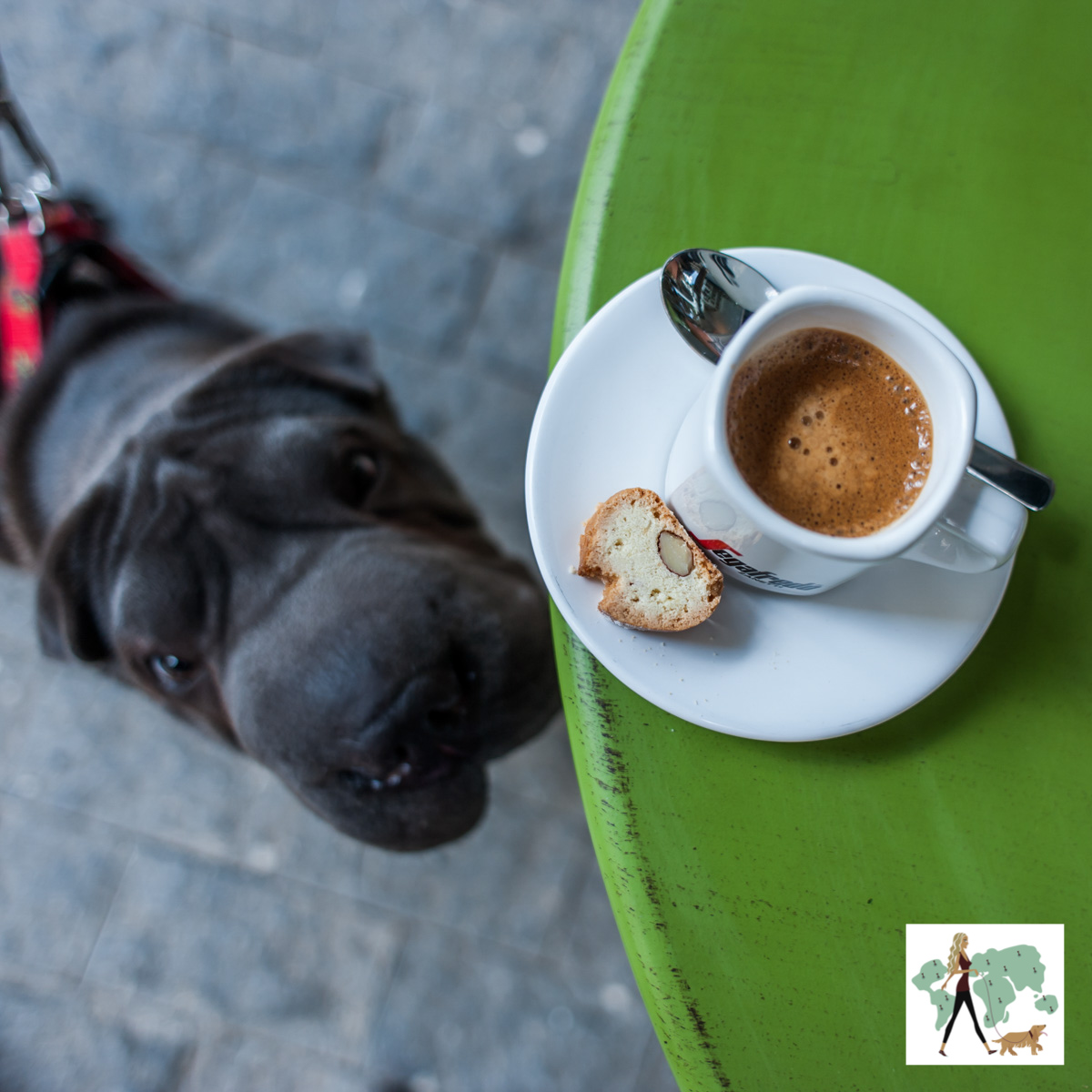 Pina é pet friendly! cafezinho e cachorro olhando