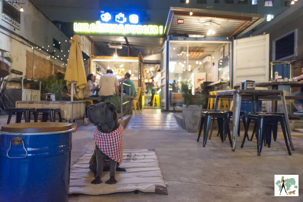 Luz, câmera, burger: pet friendly! cachorro em hamburgueria