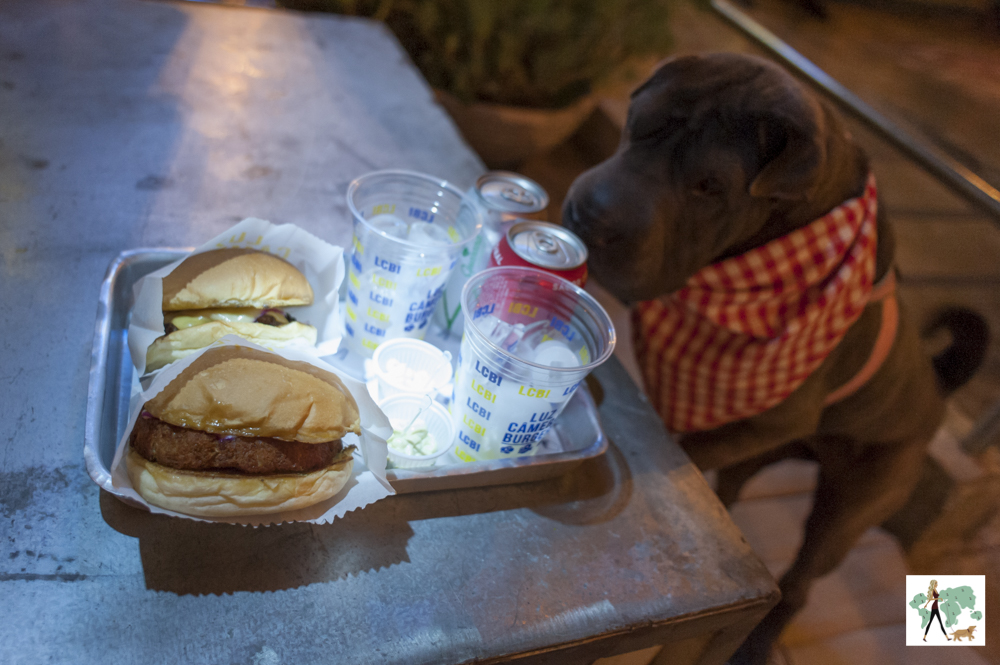 cachorro olhando para hambúrgueres e refrigerantes
