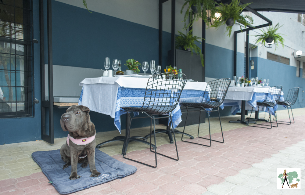 cachorro sentado na calçada de restaurante ao lado de mesas