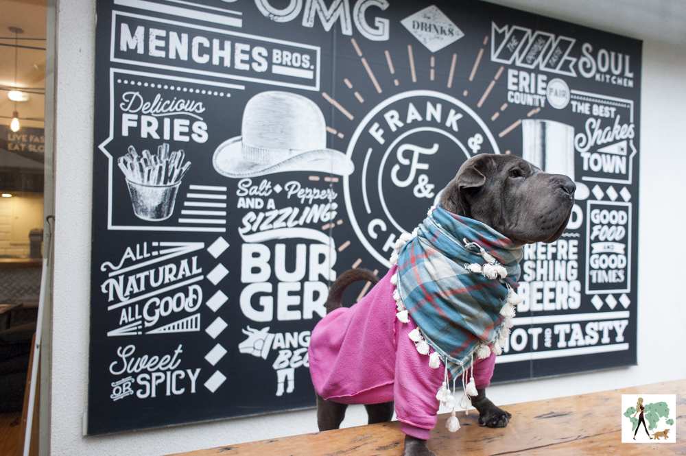 Frank&Charles é pet friendly! cachorro de moleton rosa com as patas em cima da mesa