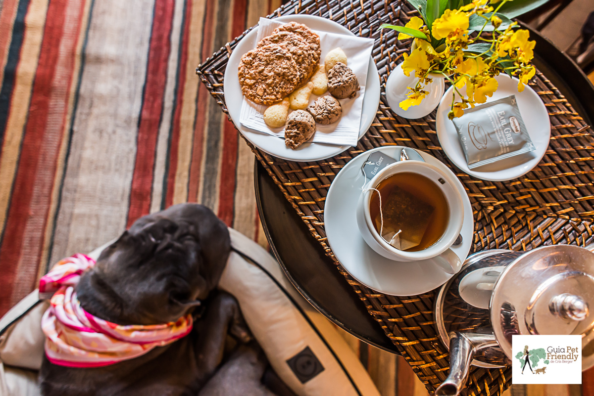 Fasano é pet friendly! chá, biscoitos e cachorro