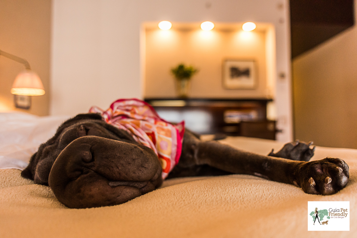 Fasano é pet friendly! cachorro dormindo em cama de casal