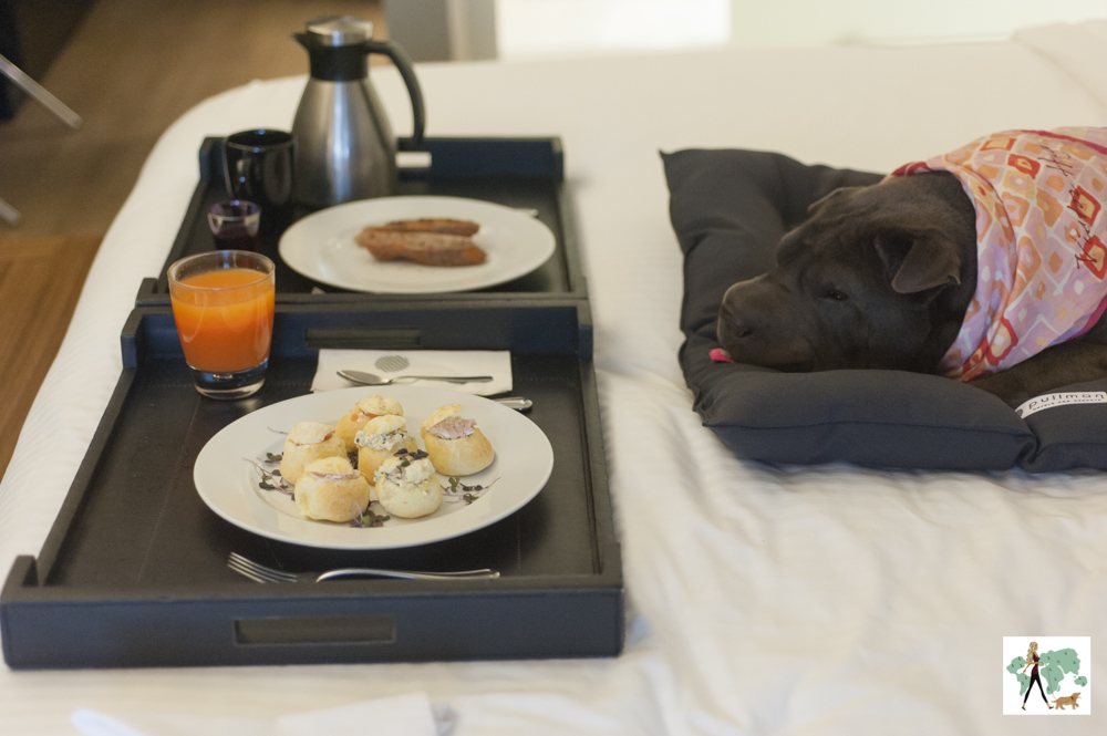 cachorro deitado em cima da cama e bandeja com prato de pães de queijo recheados