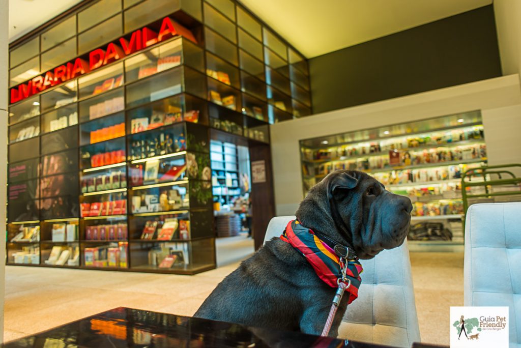 cachorro sentado em cima de cadeira com a entrada da livraria da vila atrás