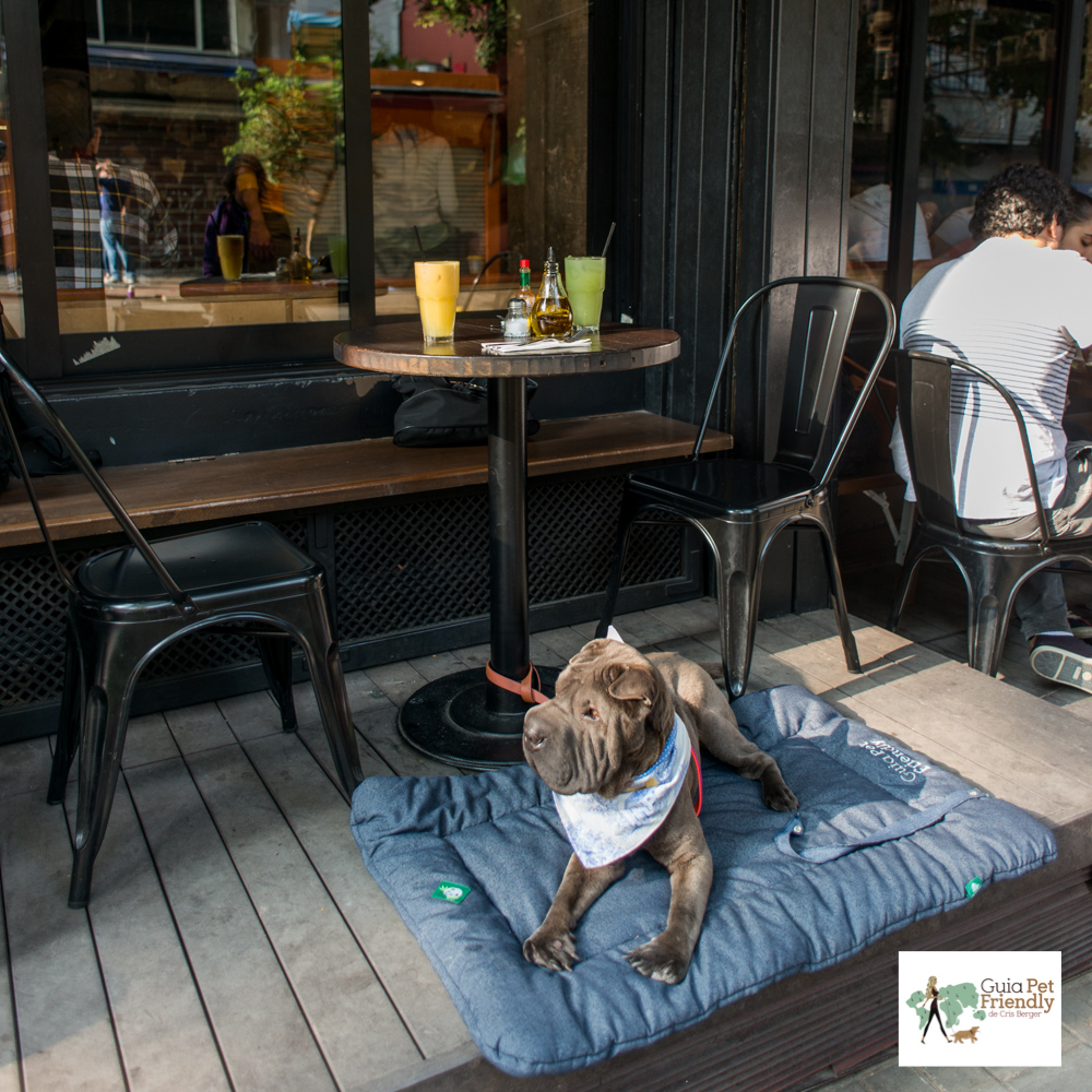 ser pet friendly