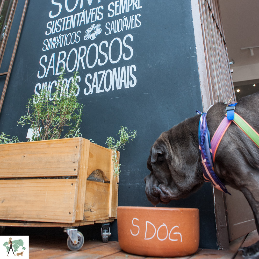 ser pet friendly