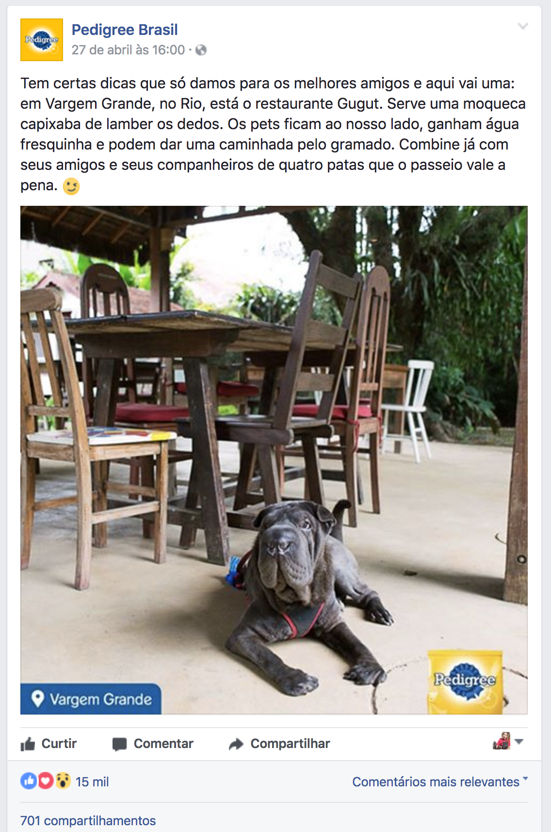 Guia Pet Friendly