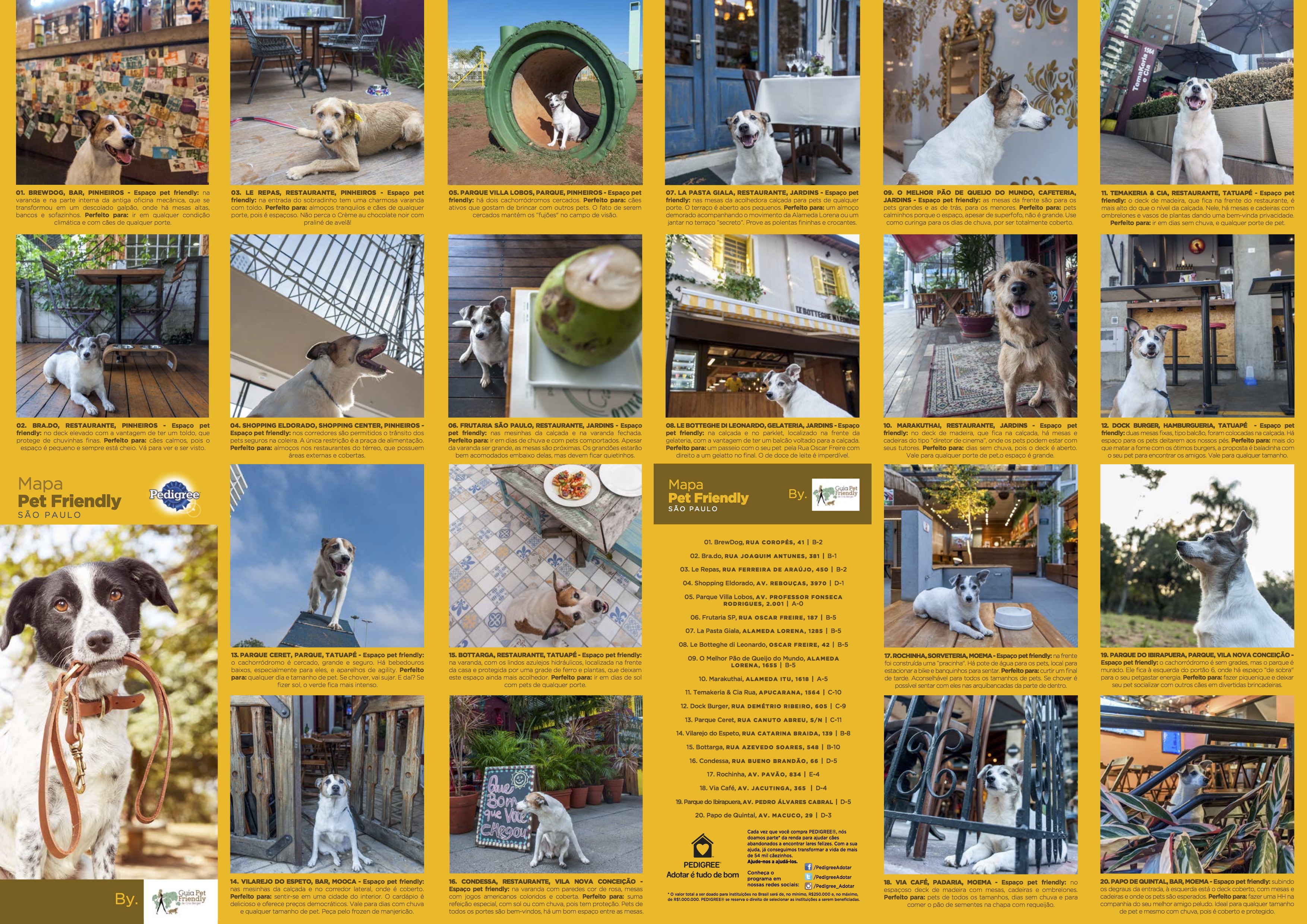 Guia Pet Friendly