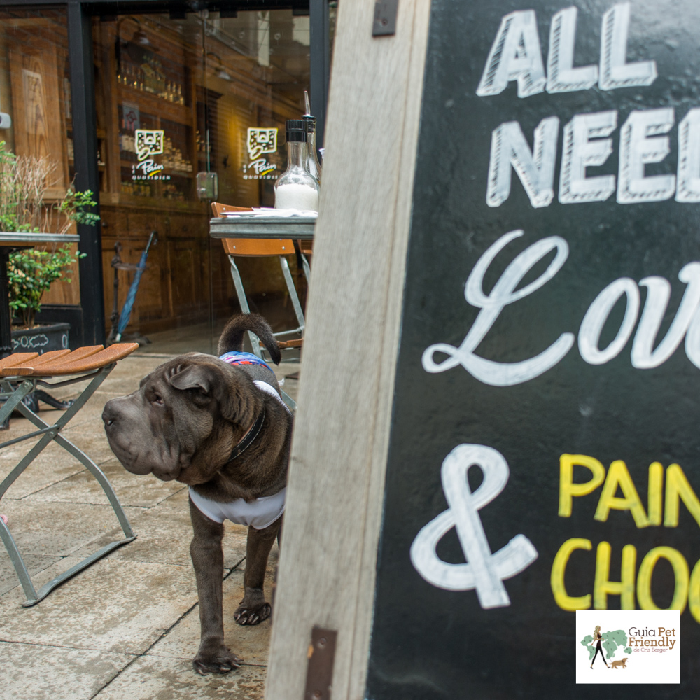 Padaria pet friendly em SP Padaria pet friendly em SP
