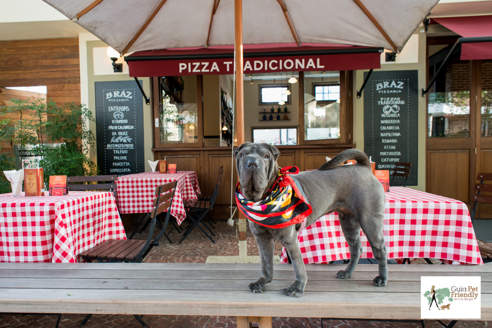 Deck pet friendly perfeito para dias de sol e noites estreladas cachorro em cima do banco de pizzaria