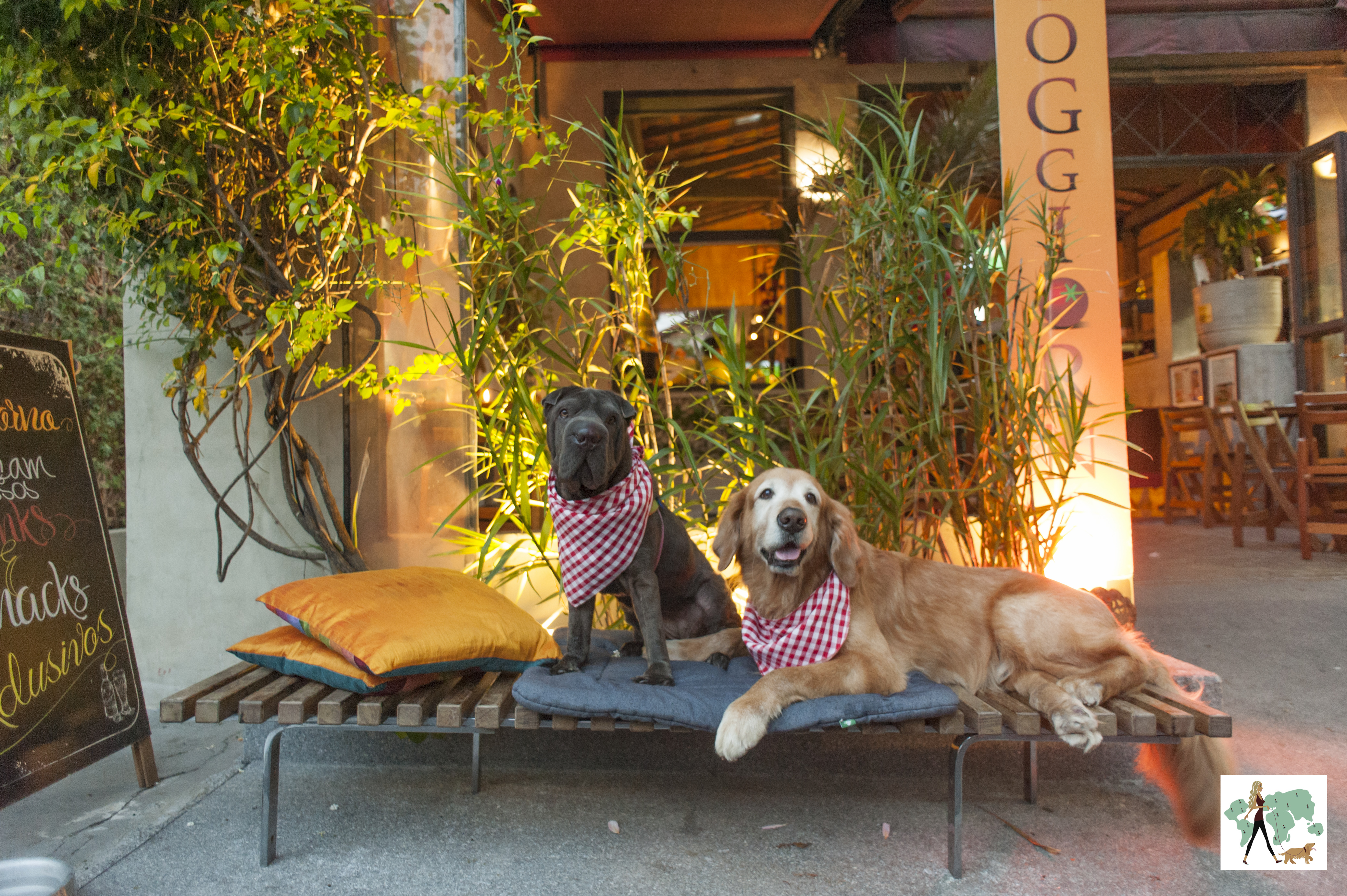 dois cachorros sentados na frente do restaurante 