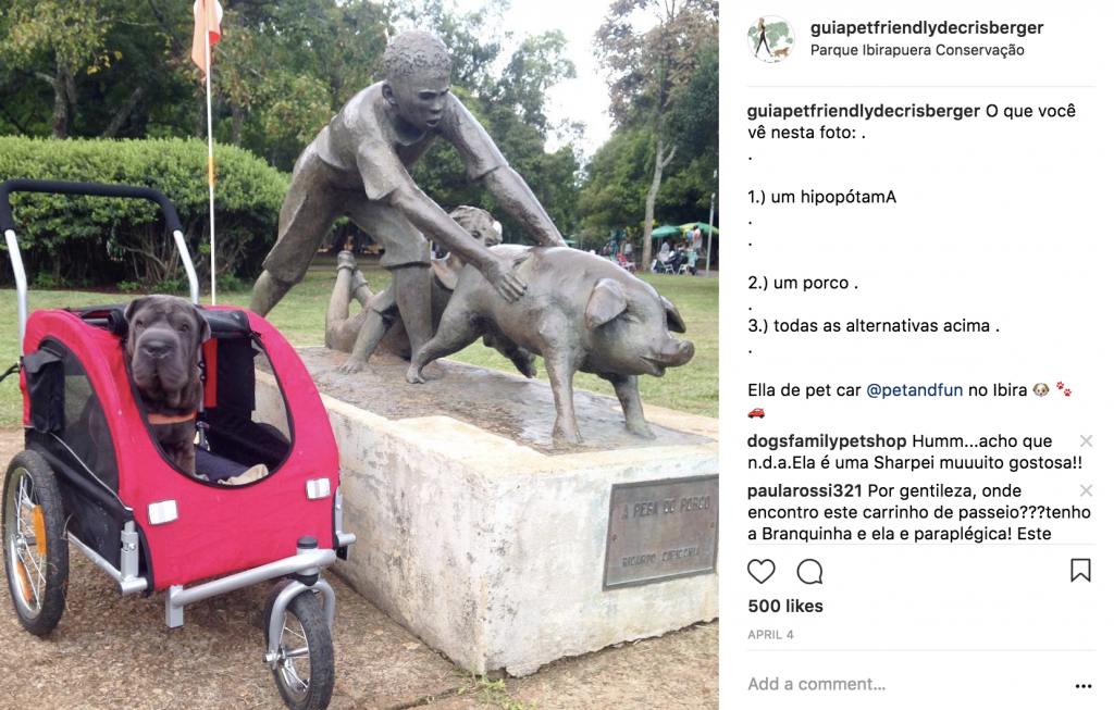 cachorro no pet car ao lado de estátua