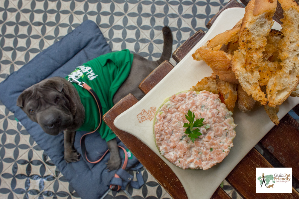 Le Pain Quotidien em Higienópolis prato com tartar de salmão e cachorro deitado