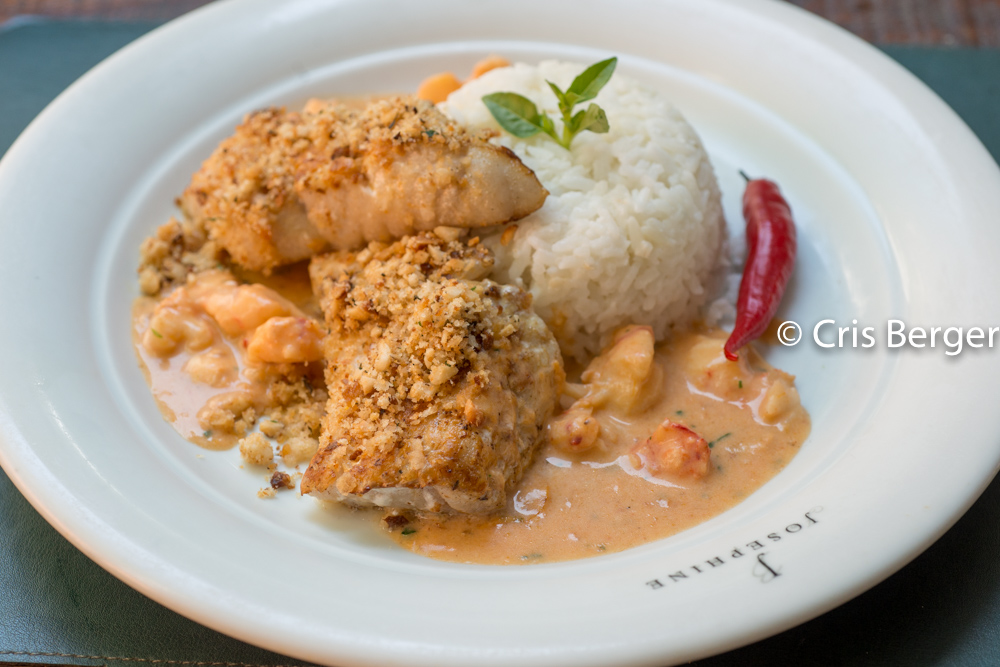 Restaurante Josephine é pet friendly peixe com arroz e camarão