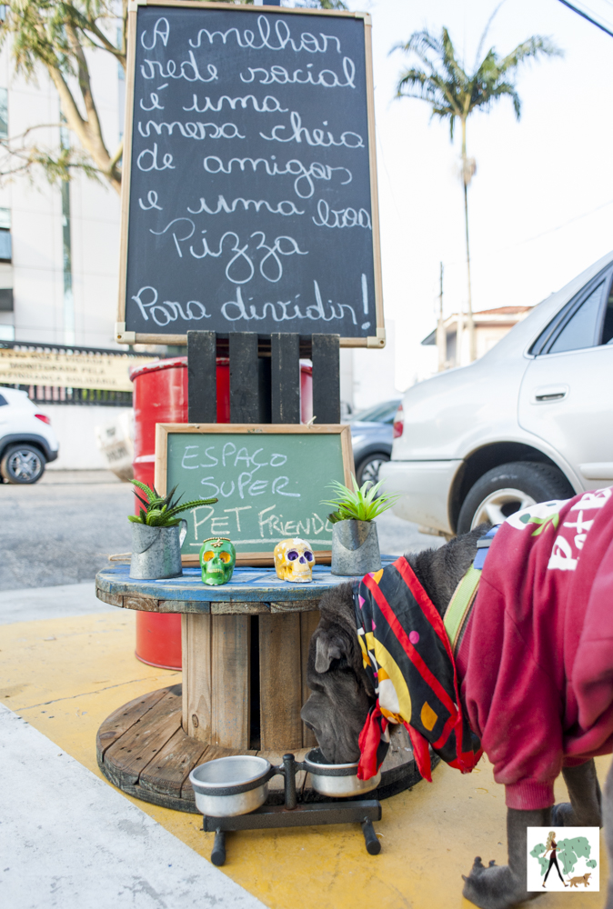 Pizzaria pet friendly no Tucuruvi espaço pet friendly na pizzaria