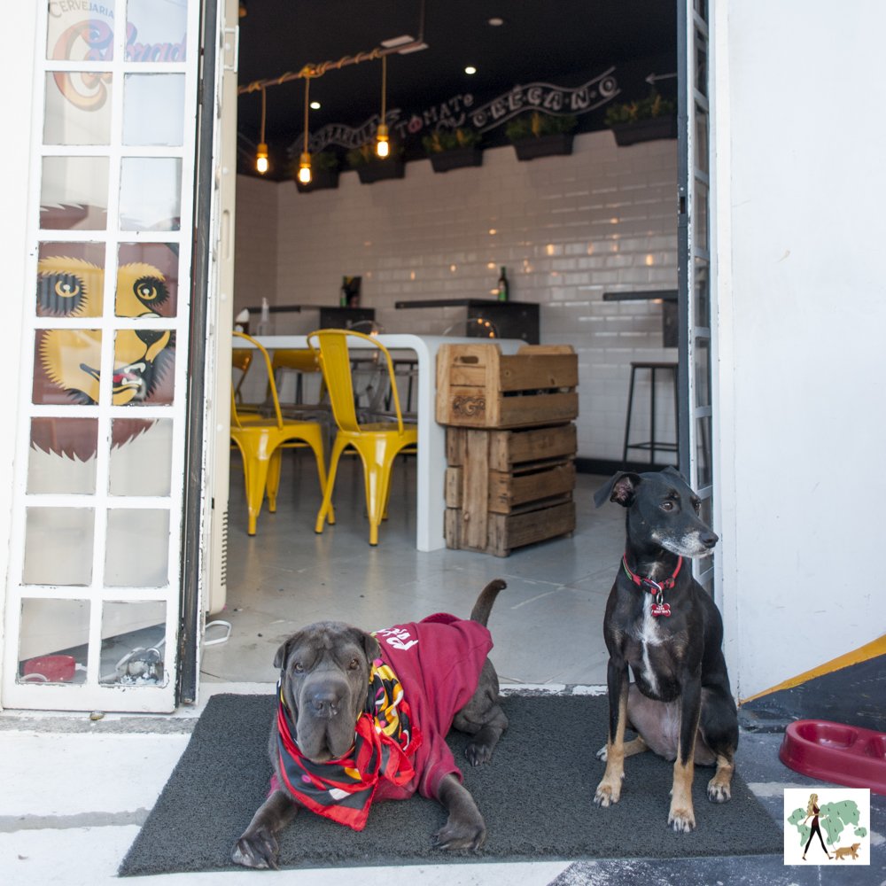 Pizzaria pet friendly no Tucuruvi dois cachorros na frente da pizzaria
