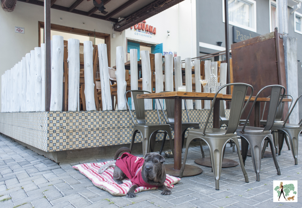 cachorro sentado ao lado de mesas de um restaurante na calçada