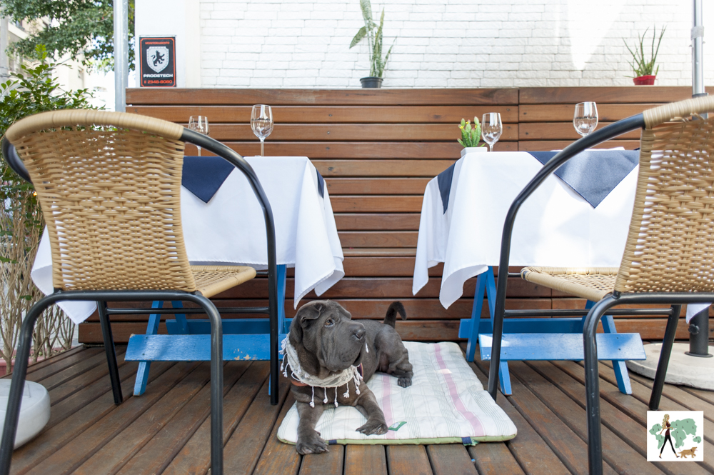 Il Pescatore: pet friendly para dias de sol cachorro deitado entre duas mesas