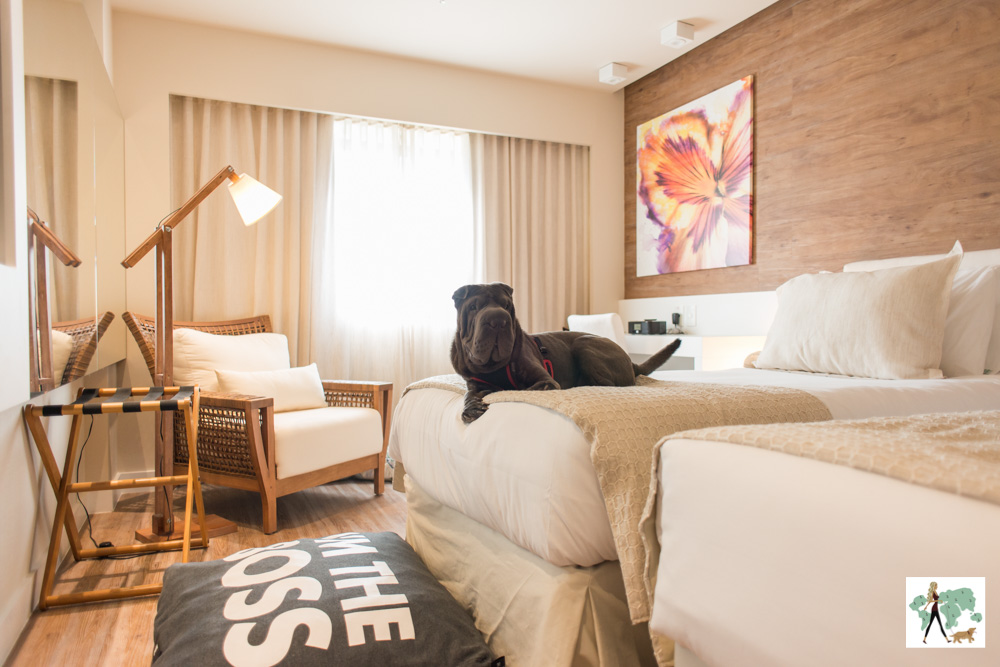 cachorro deitado em cima da cama de hotel