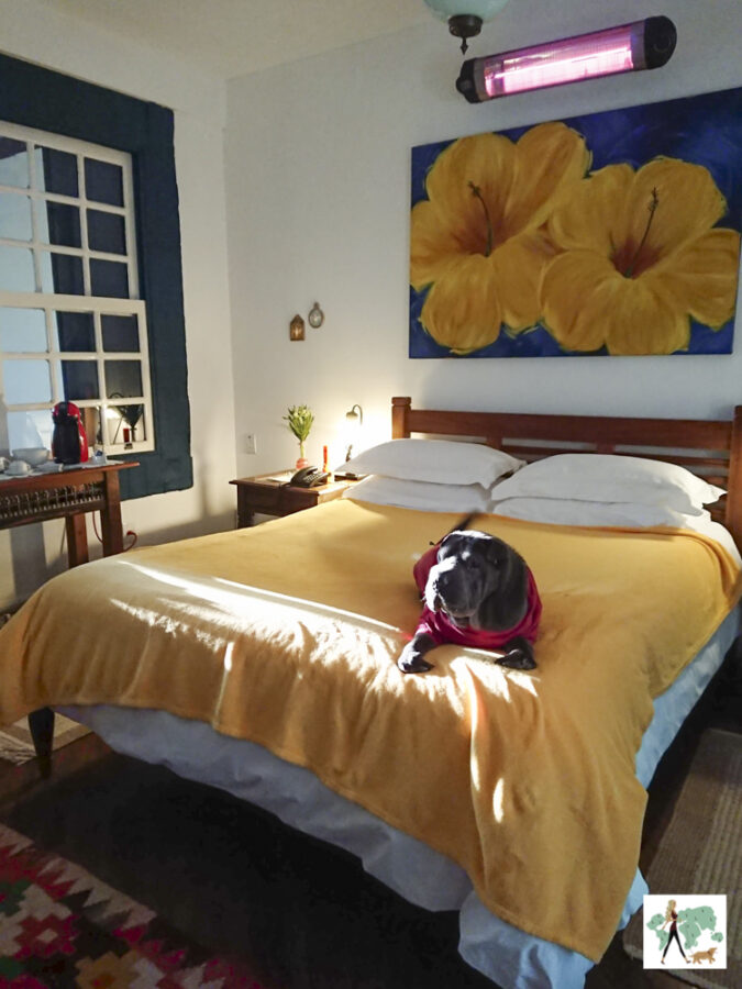 pousada pet friendly no interior de SP