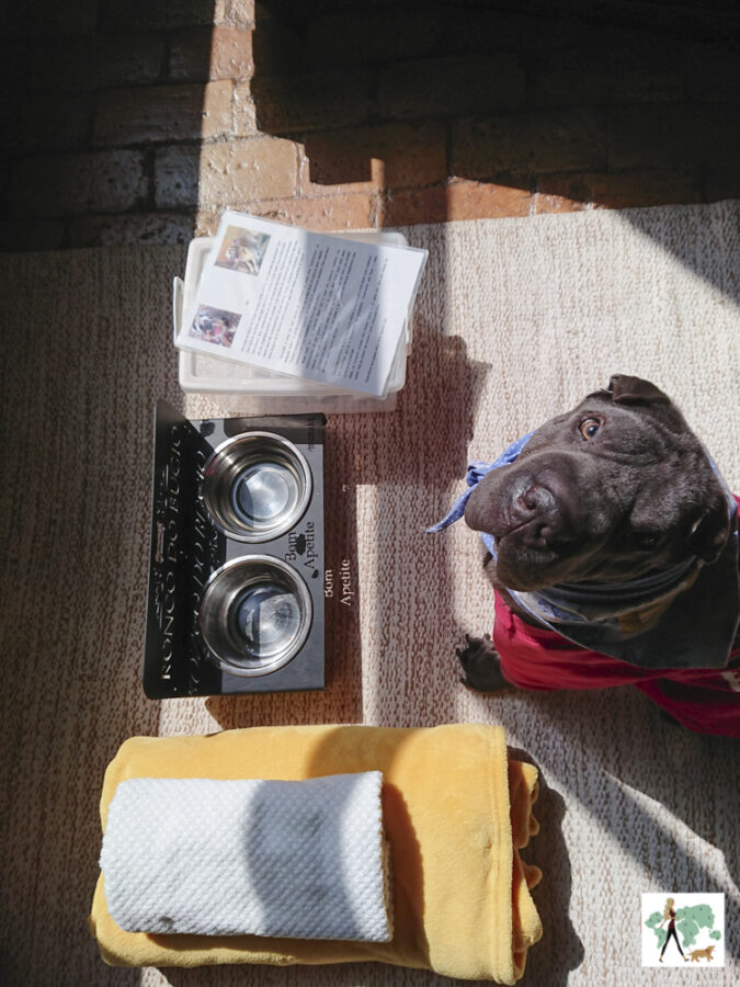 pousada pet friendly no interior de SP