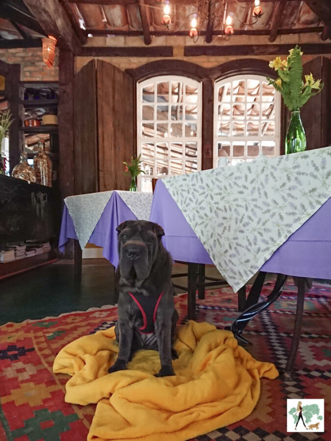 pousada pet friendly no interior de SP