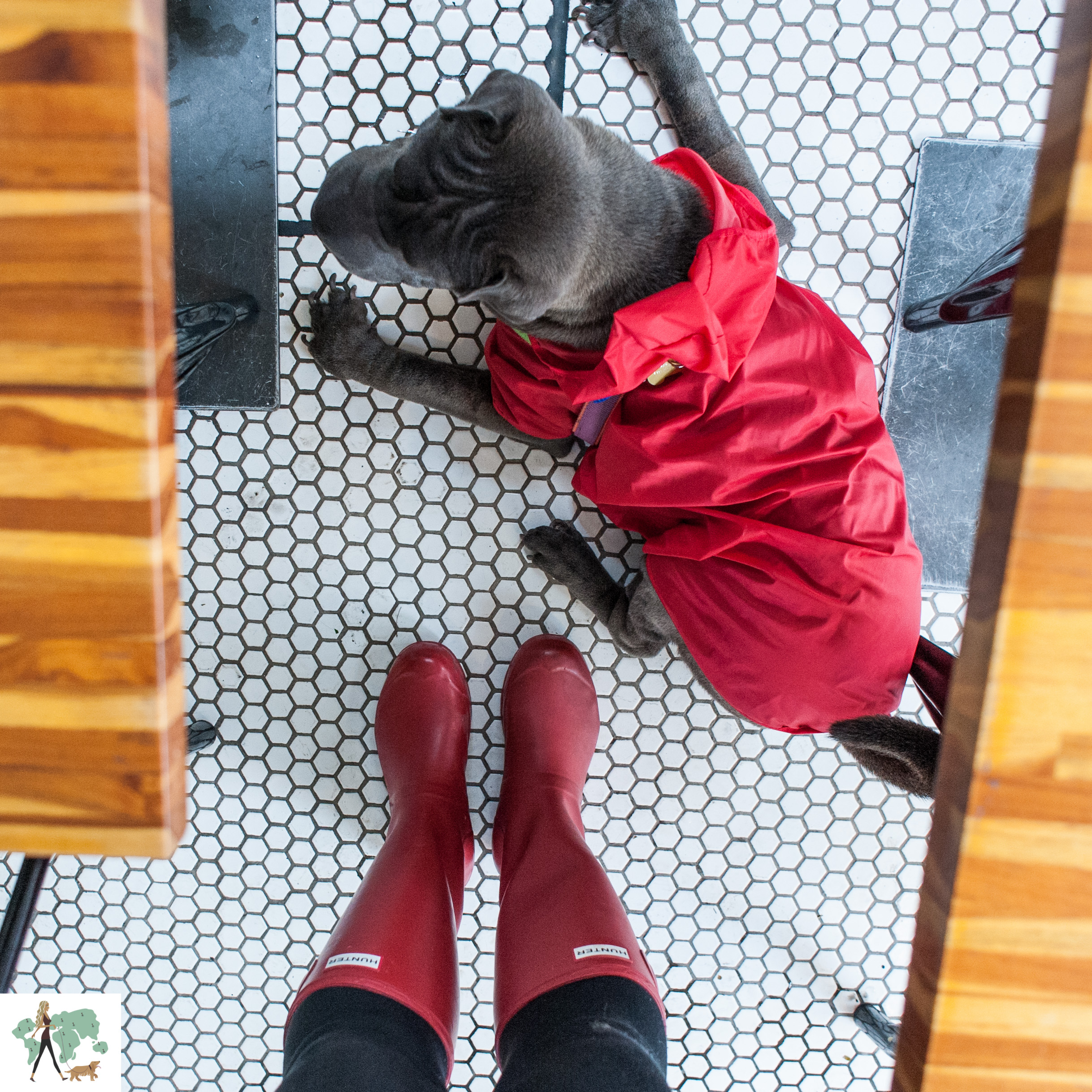 mulher com galochas vermelhas e cachorro com capa de chuva vermelha