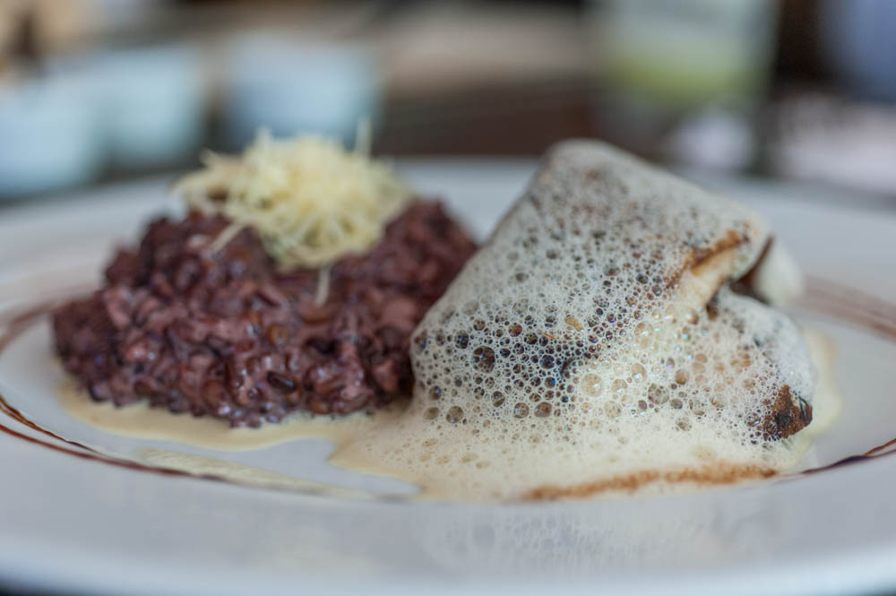 Nadeli é pet friendly arroz negro e peixe