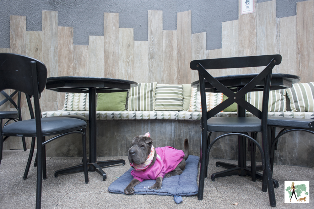Olivio Bar é pet friendly cachorro deitado entre mesas em varanda de restaurante