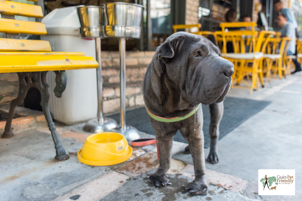 10 lugares pet friendly para fazer Happy Hour em SP cachorro de pé em restaurante