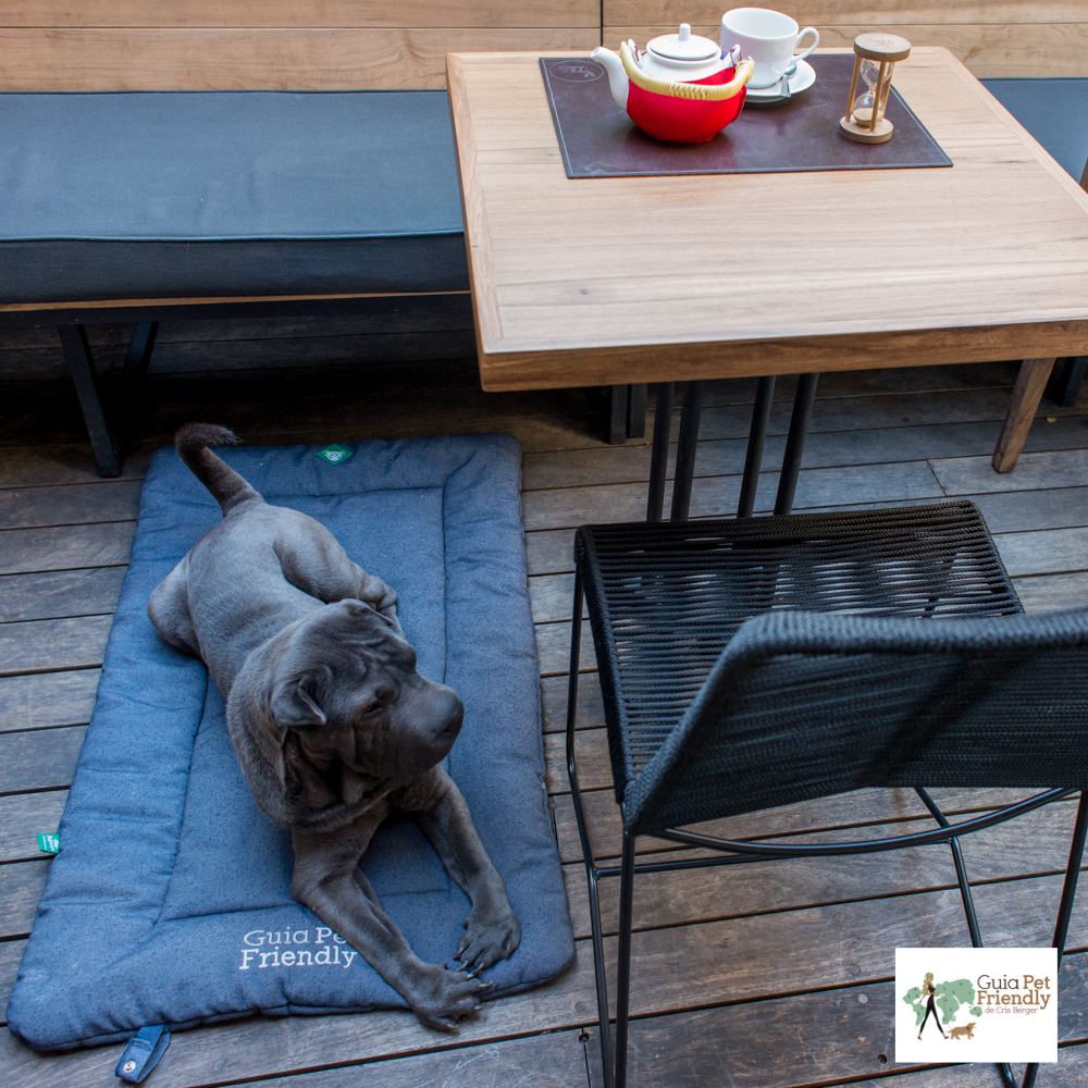 Tea Connection é pet friendly cachorro deitado em restaurante