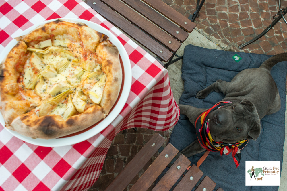 Pizzaria Bráz de Perdizes é pet friendly pizza e cachorro sentado ao lado da mesa
