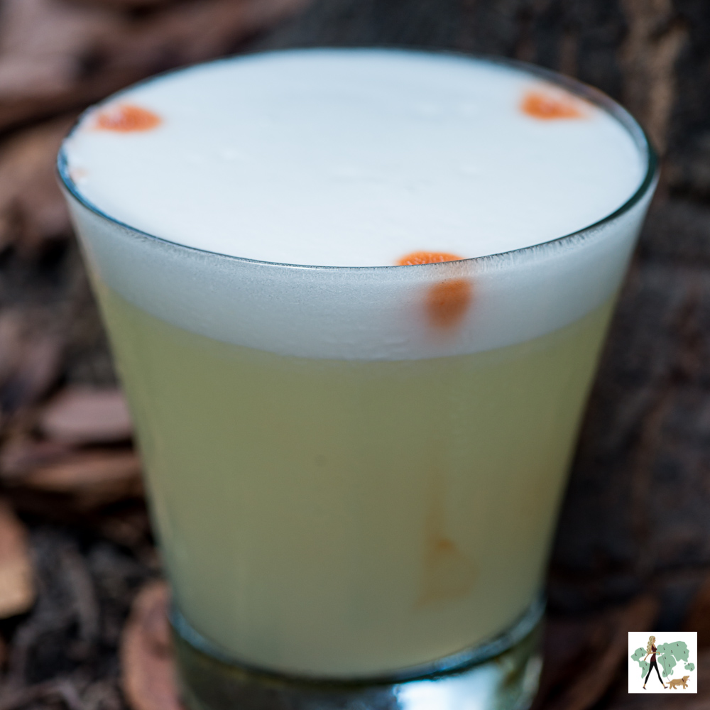 Suri é pet friendly pisco sour