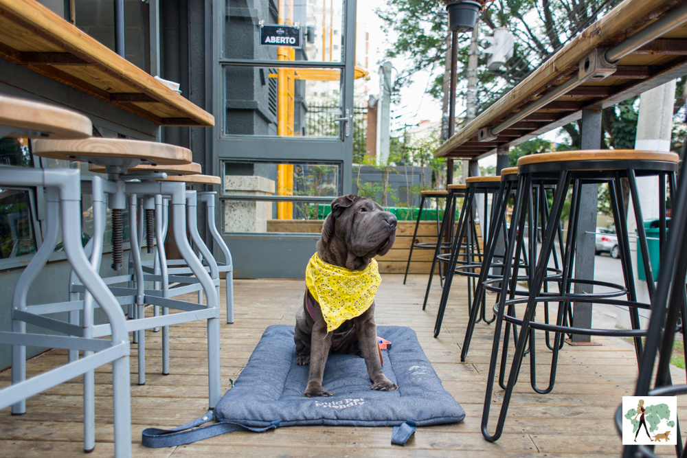 Bullguer Perdizes é pet friendly cachorro sentado entre bancos altos