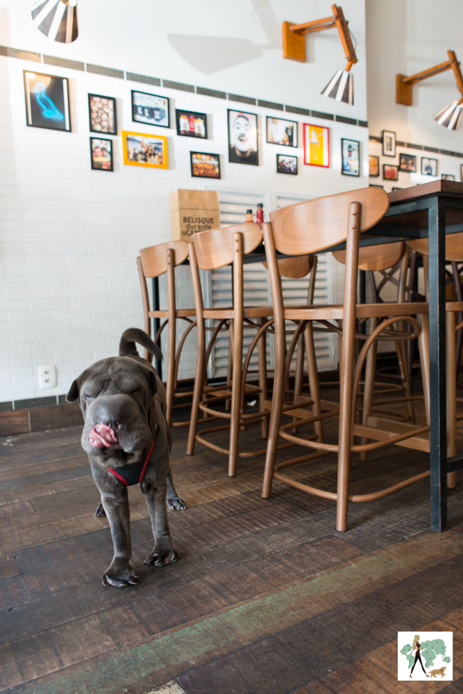 T.T. Burger é pet friendly cachorro com a língua para fora ao lado da mesa