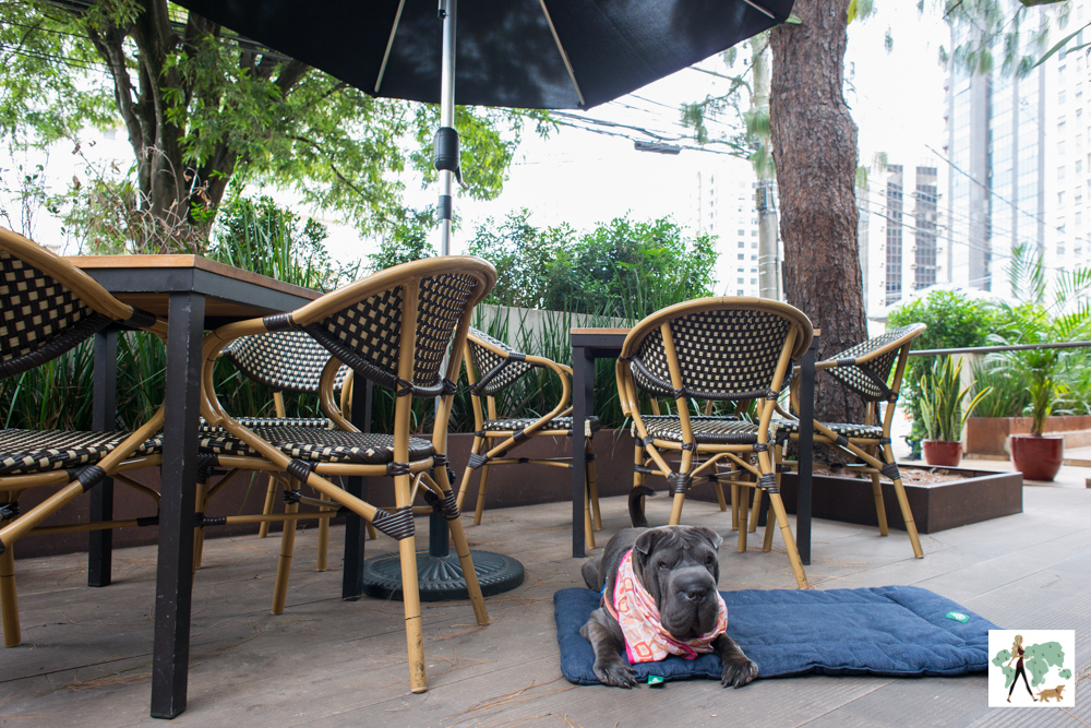 5 lugares pet friendly para comer de joelhos em São Paulo