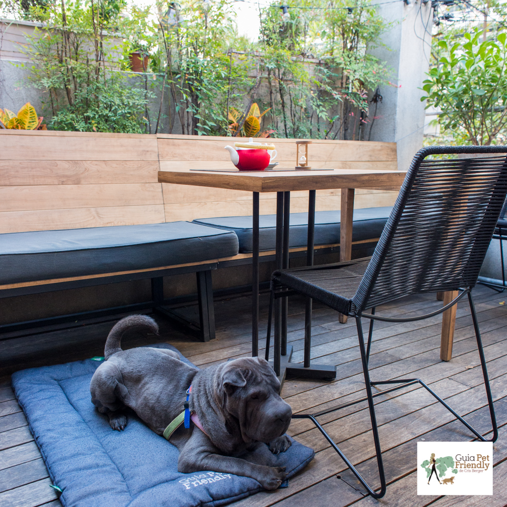 Tea Connection é pet friendly cachorro em restaurante