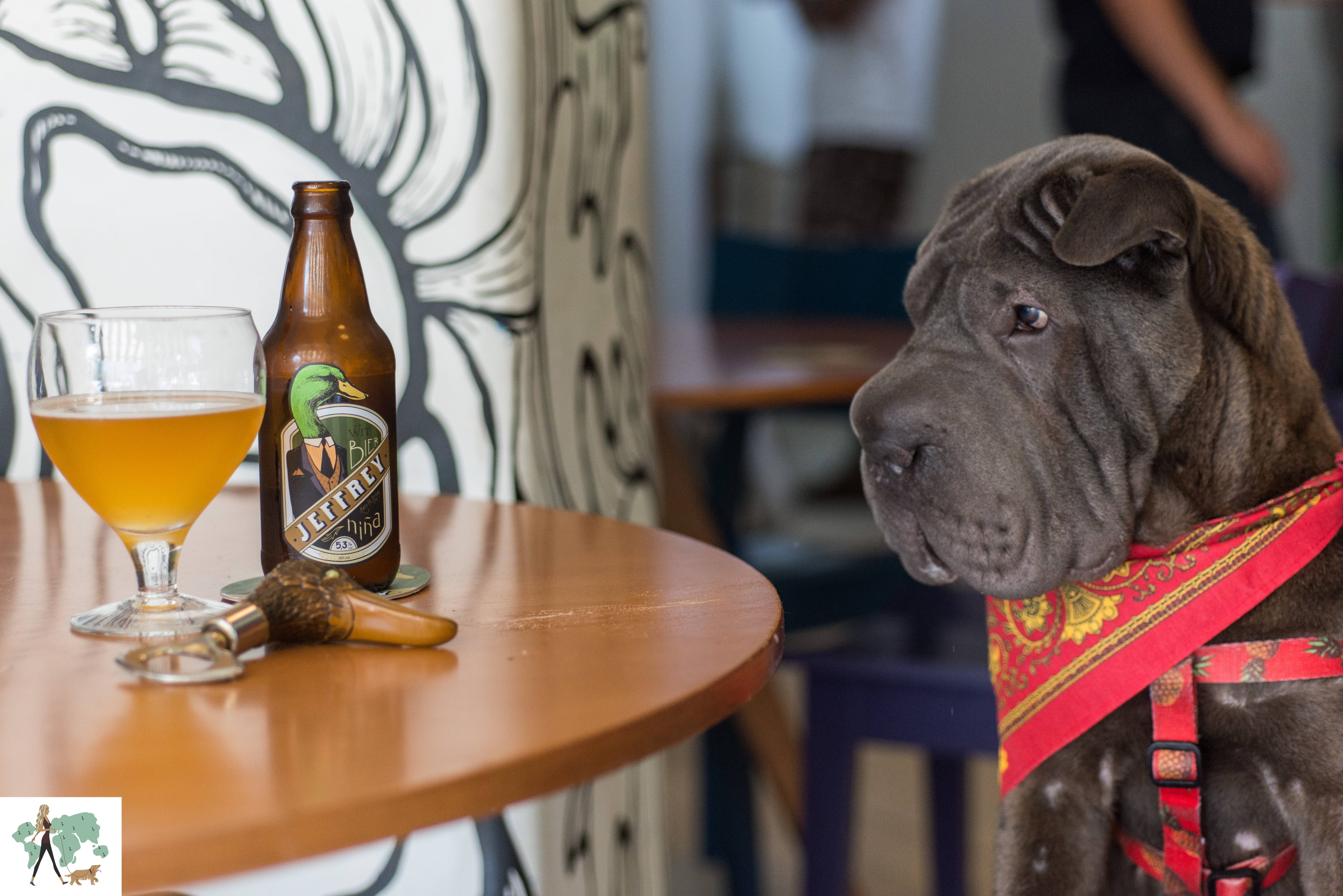 cachorro e cerveja na mesa 