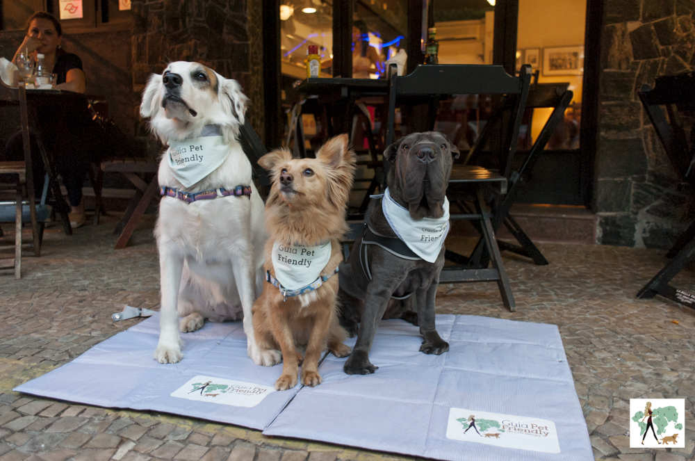 cachorros em cima de tapete na calçada de bar