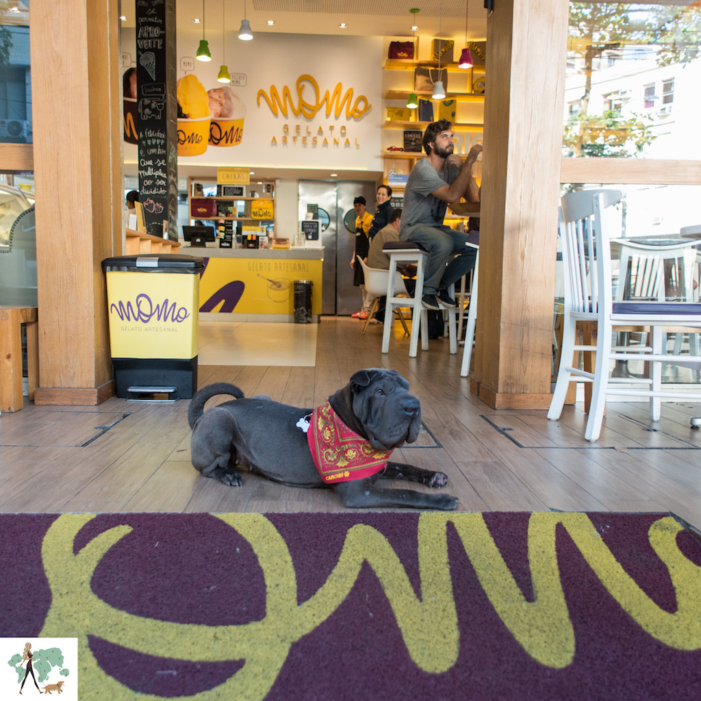 Momo Gelato é pet friendly cachorro na entrada de sorveteria