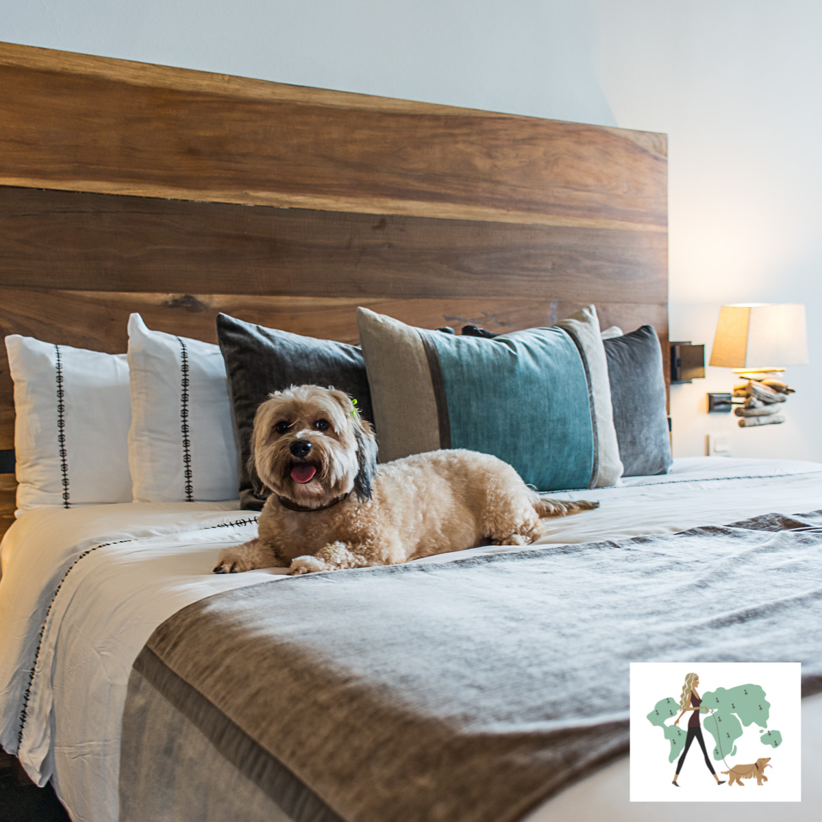 Nizuc, hotel pet friendly em Cancún Guia Pet Friendly