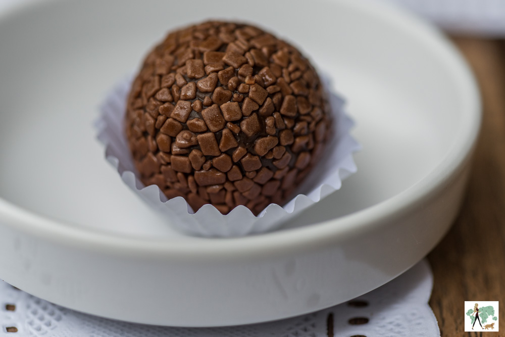 Bullguer Vila Madalena é pet friendly brigadeiro