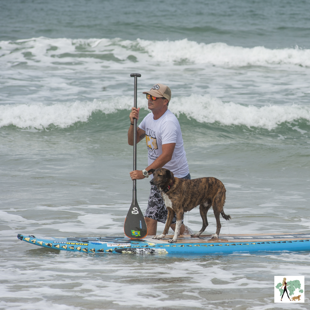 o cão surfista homem e cachorro em cima da prancha de surf no mar