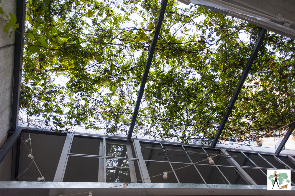 plantas em cima de teto retrátil