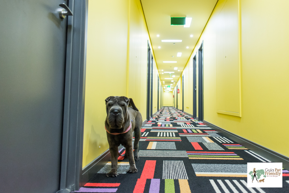 Ibis Style Barra Funda é pet friendly Cachorro em pé no corredor de hotel