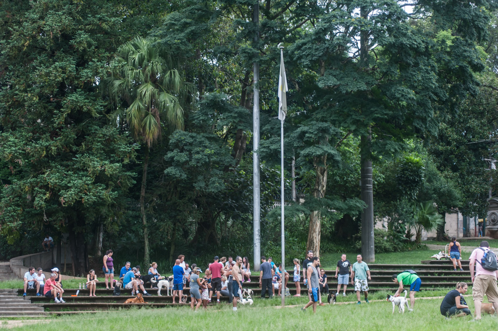 pessoas com seus cachorros no parque