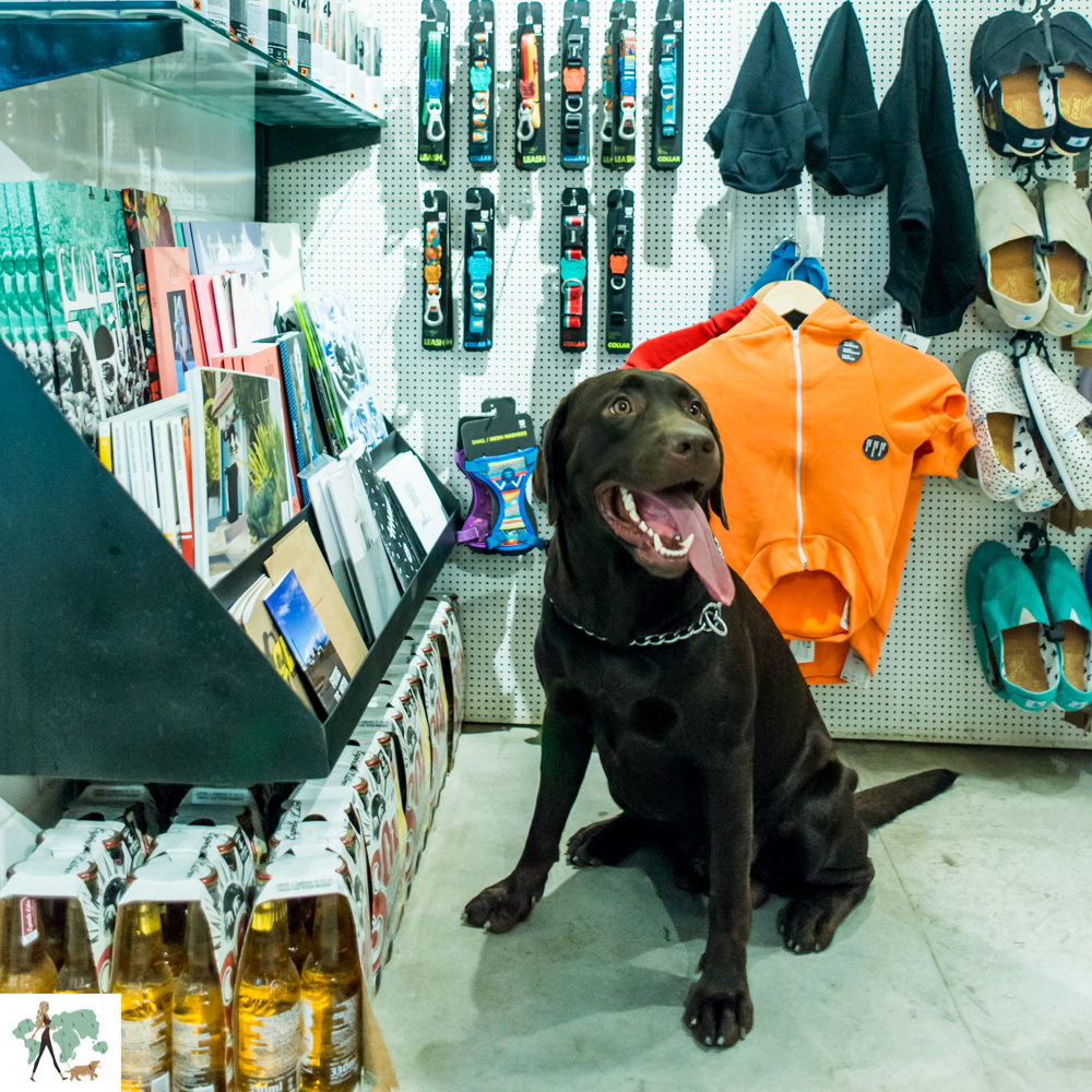 Void é pet friendly cachorro dentro de loja
